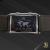 Rotary World Traveller Dual Time - view 7