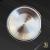 Vintage Tudor Oyster Prince 7964 - view 10