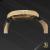 Rotary GS03892/01 Gold Skeleton - view 5